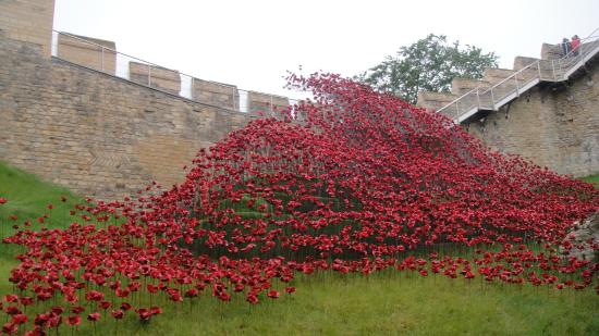 lincoln-castle-poppies